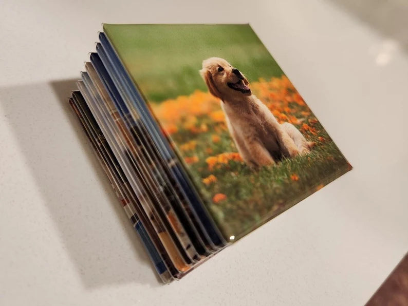 Custom Photo Magnets - Personalized Magnets for Fridges & Gifts Set of 50 Magnets | SnapiMags